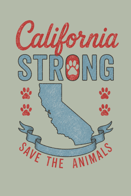 California State Strong Pigment Dyed Uni T (All Profit Donated)