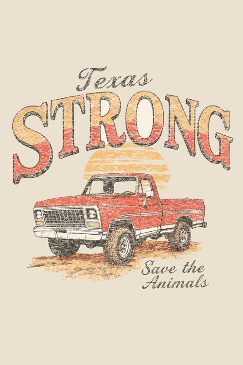 Texas Sunset Strong Pigment Dyed Uni T (All Profit Donated)