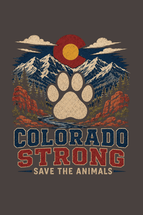 Colorado Vintage Strong Pigment Dyed Uni T (All Profit Donated)