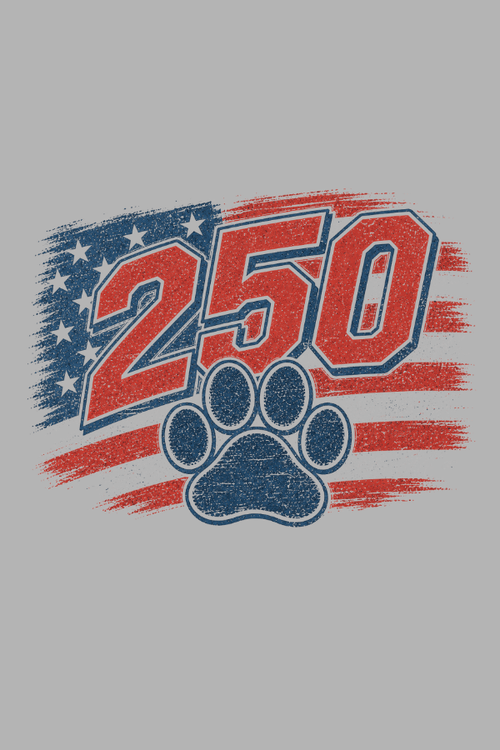 Flag 250 Pigment Dyed Uni T