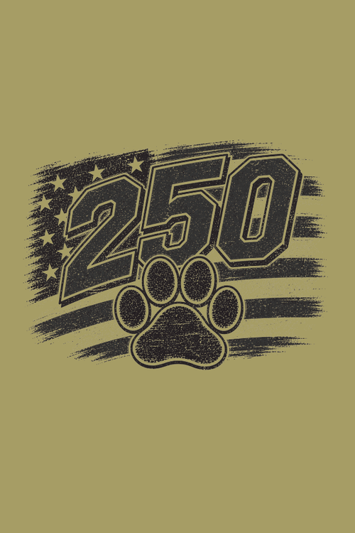 Vintage 250 Pigment Dyed Uni T