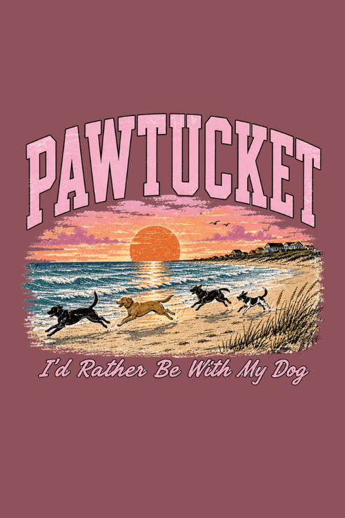 Pawtucket Pigment Dyed Uni T