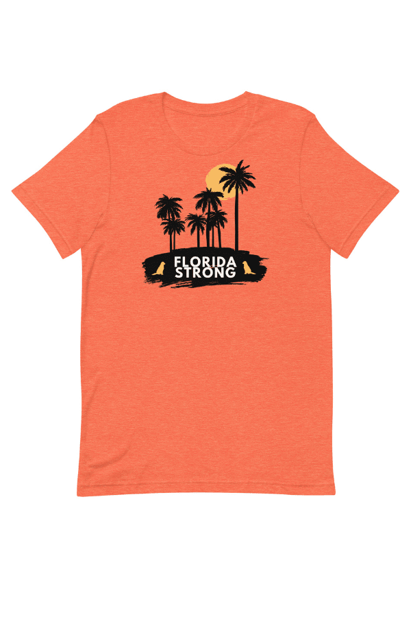 FL Strong Sunset Uni T (All Profit Donated)
