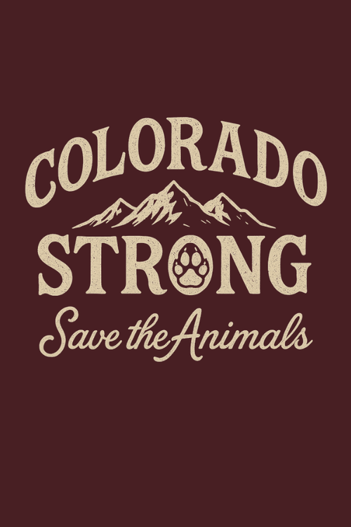 CO Retro Strong Uni Hoodie (ALL PROFIT DONATED)