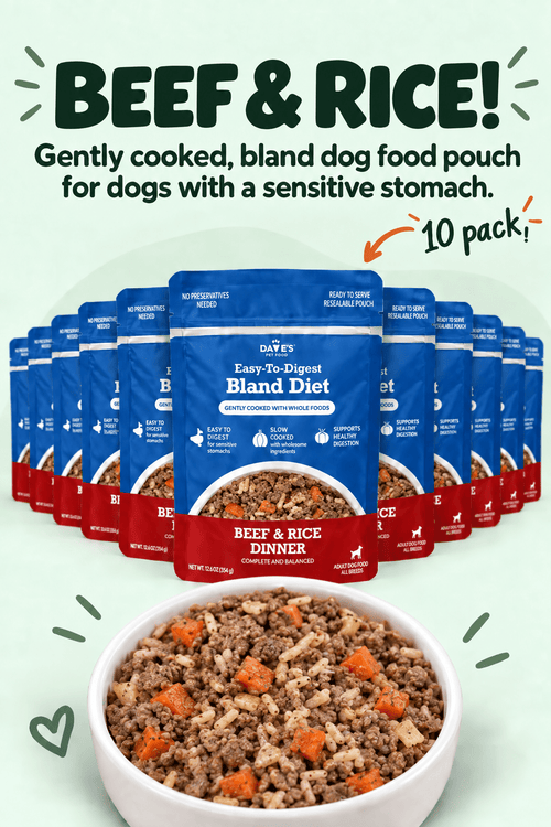 Dave's Bland Beef & Rice Pouch Recipe for Dogs / 10 pack / 9 oz
