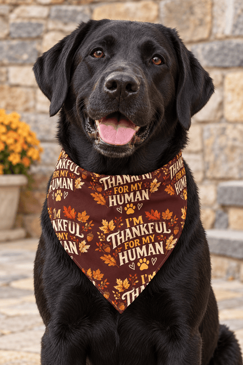 Fall Festive Matching Doggy Bandana