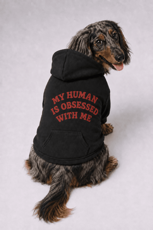 My Human Is Obsessed With Me Doggy Hoodie