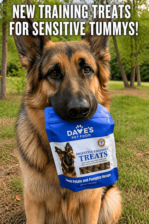 Dave's Digestive-Friendly Sweet Potato & Pumpkin Dog Treats /5oz