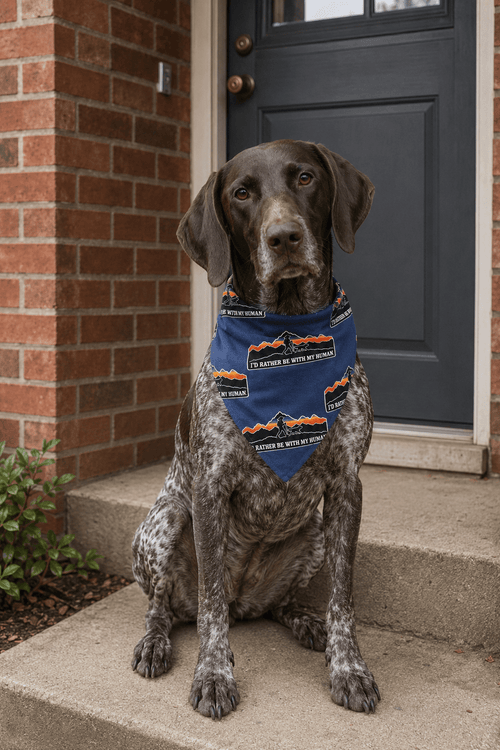 Hiker Doggy Bandana