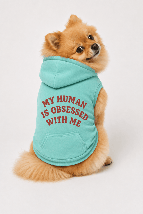 My Human Is Obsessed With Me Doggy Hoodie