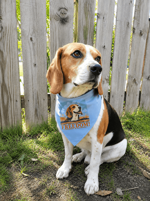 Freedom Matching Doggy Bandana (All Profit Donated)