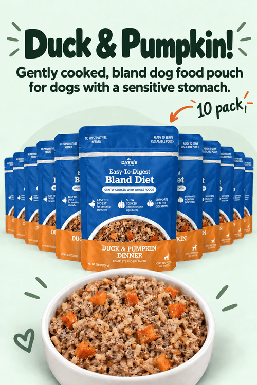 Dave's Bland Duck & Pumpkin Pouch Recipe for Dogs / 10 pack / 9 oz