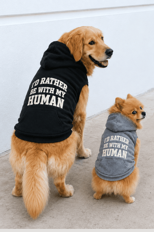 Be With My Humane Varsity Doggy Fleece Hoodie