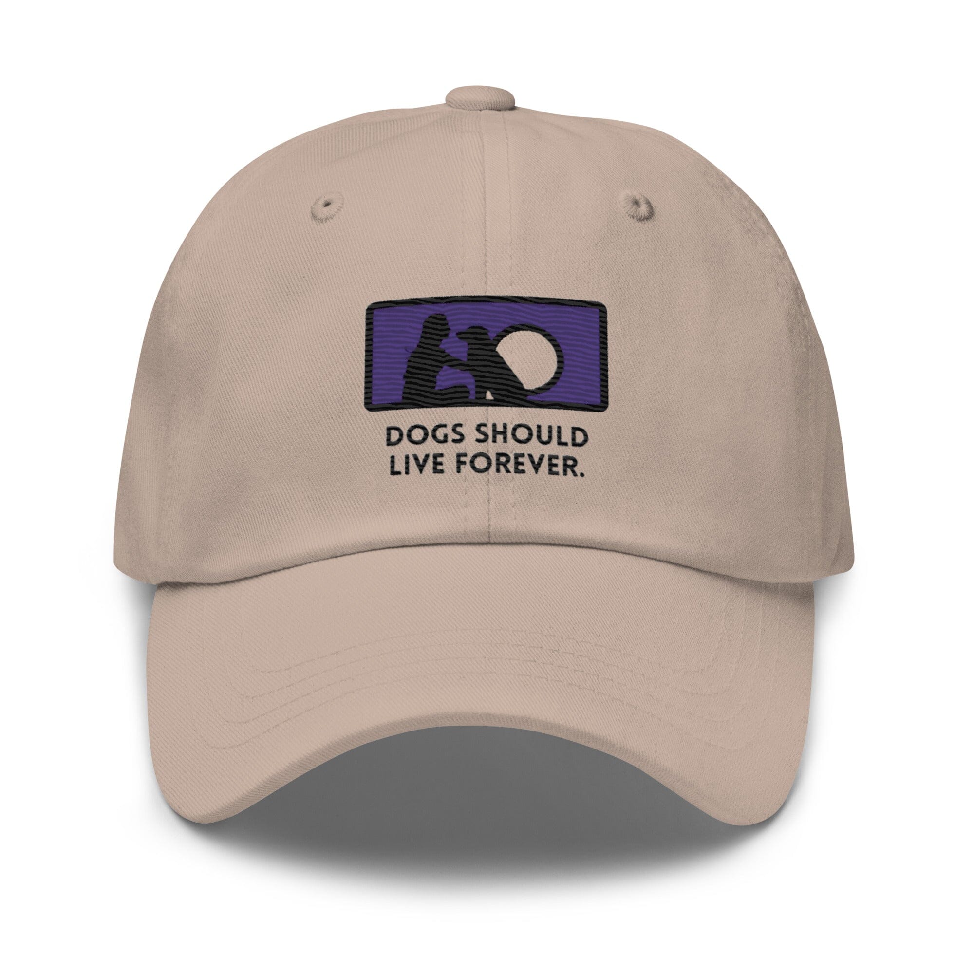 Live Forever Basic Cap