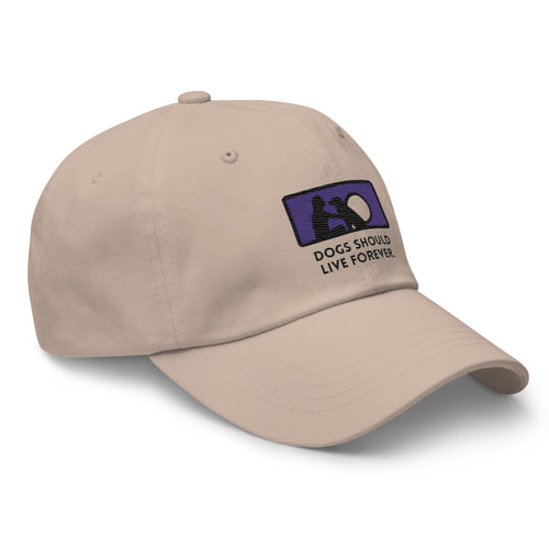 Live Forever Basic Cap