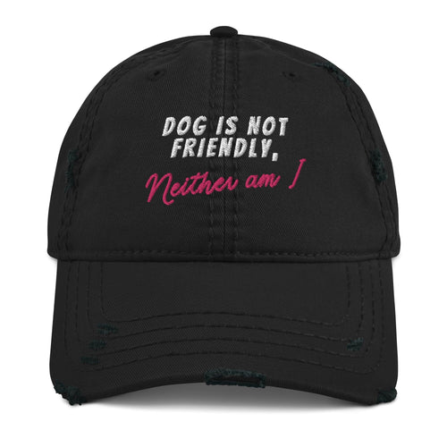 Not Friendly Vintage Distressed Hat