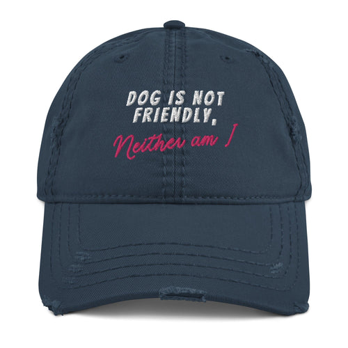 Not Friendly Vintage Distressed Hat