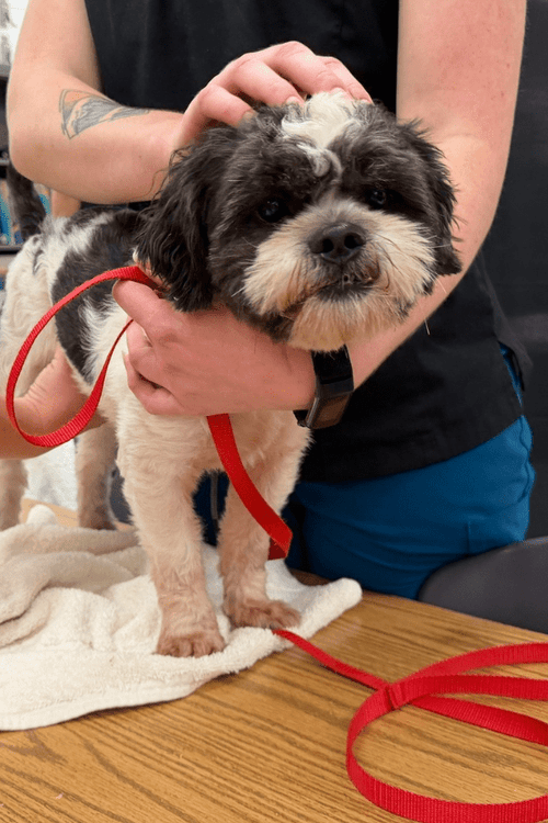 Hawaii Flood Relief Supplies (All Profit Donated)