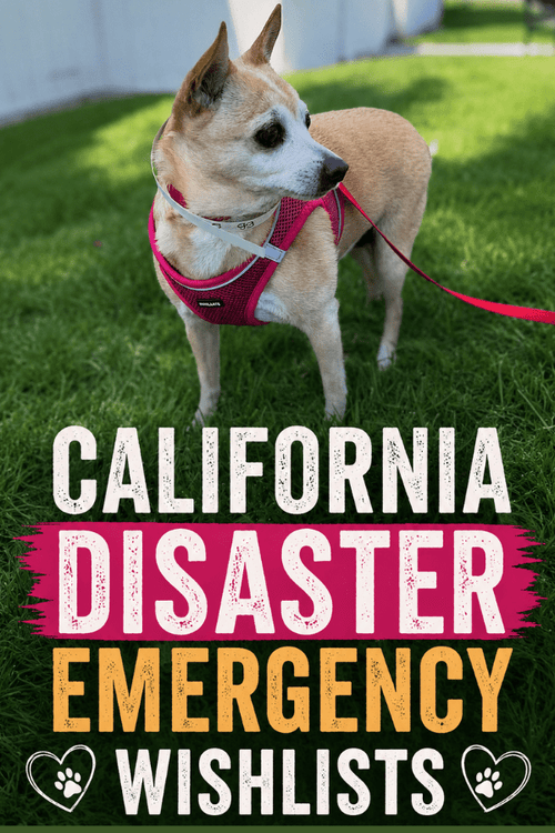 California Disaster Relief Supplies (100% Profit Donated)