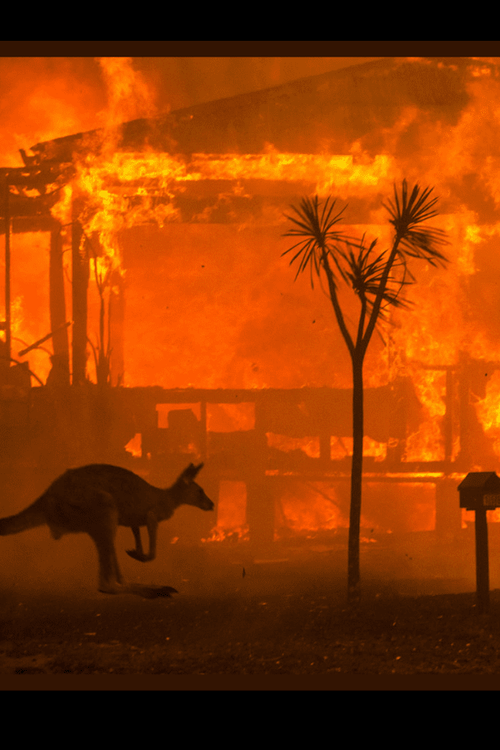 Australia Wildfire Relief Supplies (ALL PROFIT DONATED)