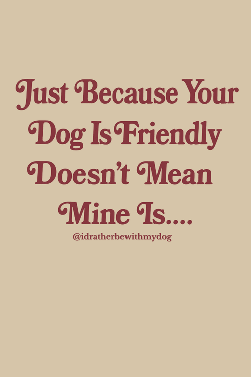 Dog Not Friendly Uni Crewneck Sweatshirt