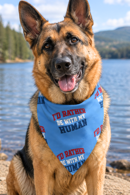 America Varsity Matching Doggy Bandana
