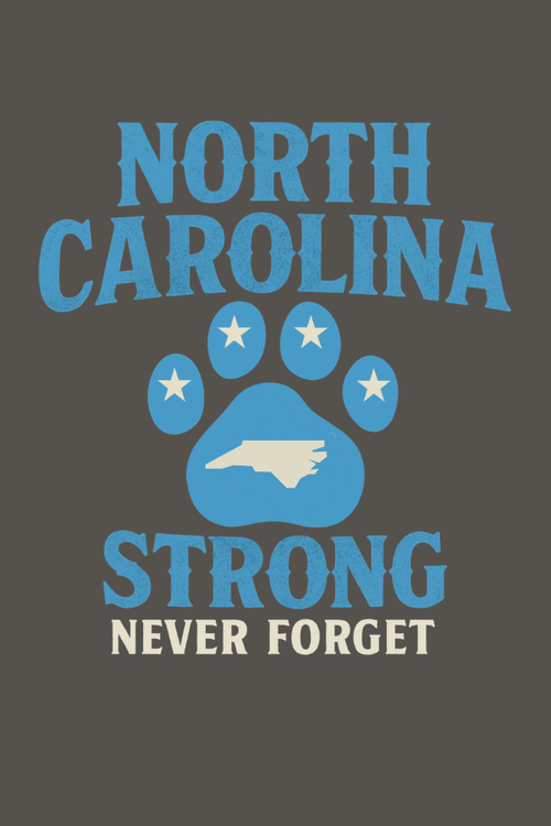 NC Flag Strong Uni Hoodie (ALL PROFIT DONATED)