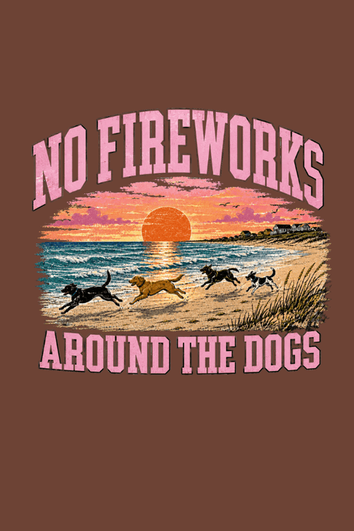 No Fireworks Pigment Dyed Uni T