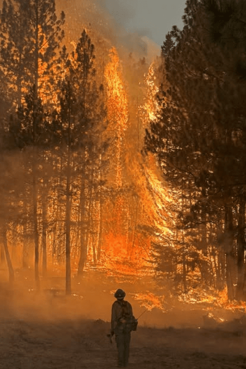 OREGON EMERGENCY SUPPLIES (ALL PROFIT DONATED)