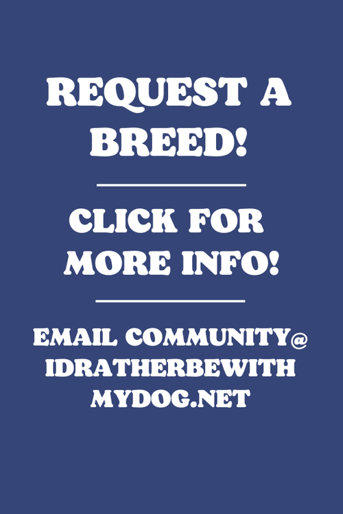 Request A Breed/Special Requests
