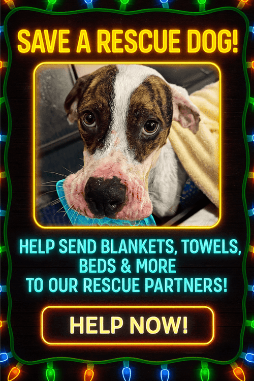 SPOIL A RESCUE DOG (ALL PROFIT DONATED)