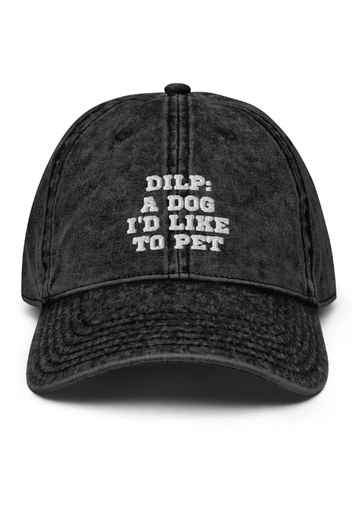DILP: Vintage Dad Hat
