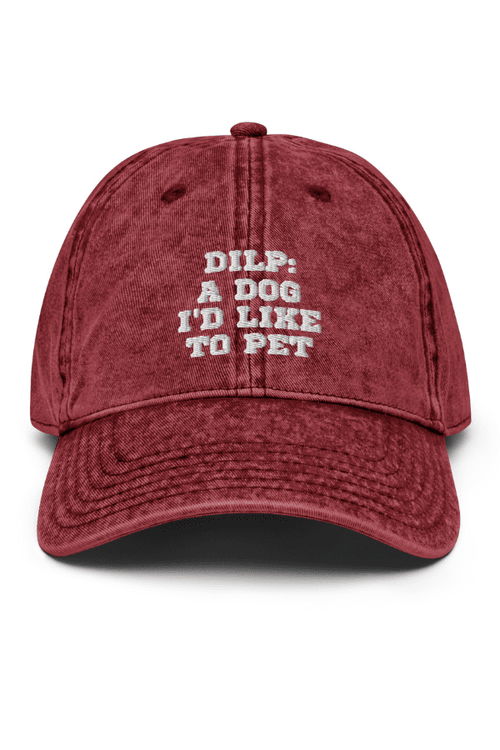 DILP: Vintage Dad Hat
