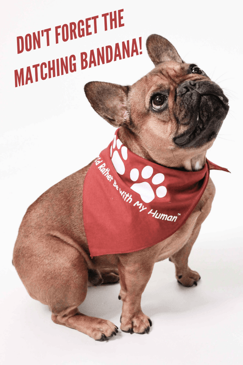 Matching Bandana & Magnet